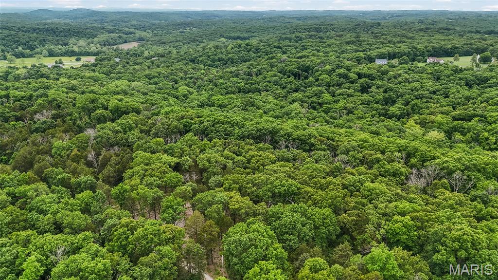 299 Whitetail Ridge Dittmer, MO 63023 - Photo 16 of 19