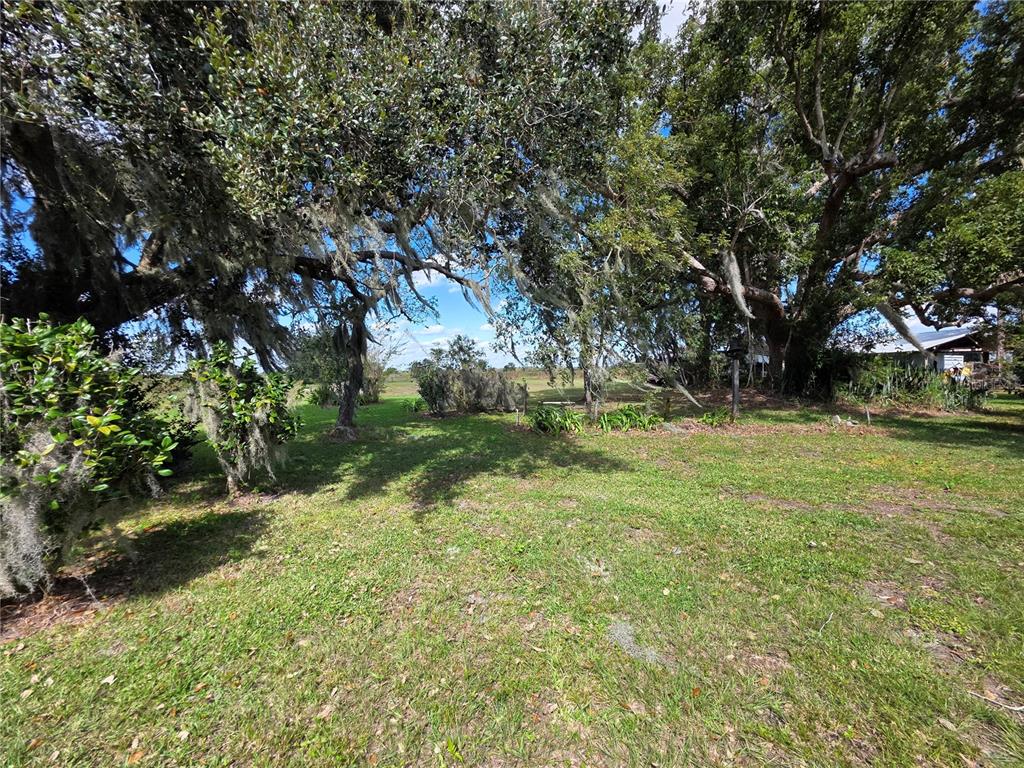 2011 County Line Road East Fort Meade, FL 33841 - Photo 13 of 28