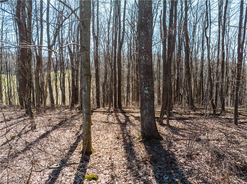 Burrier Road Jewett, OH 43986 - Photo 25 of 37