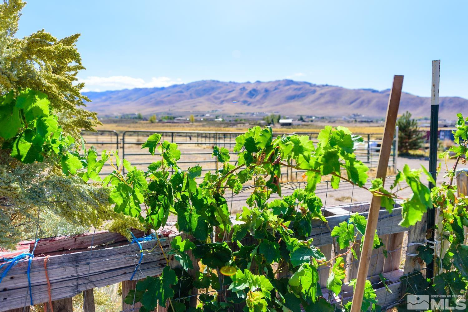 500 Clydesdale Drive Reno, NV 89508 - Photo 23 of 38 Photo 12