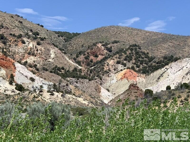 500 Clydesdale Drive Reno, NV 89508 - Photo 38 of 38 Photo 22