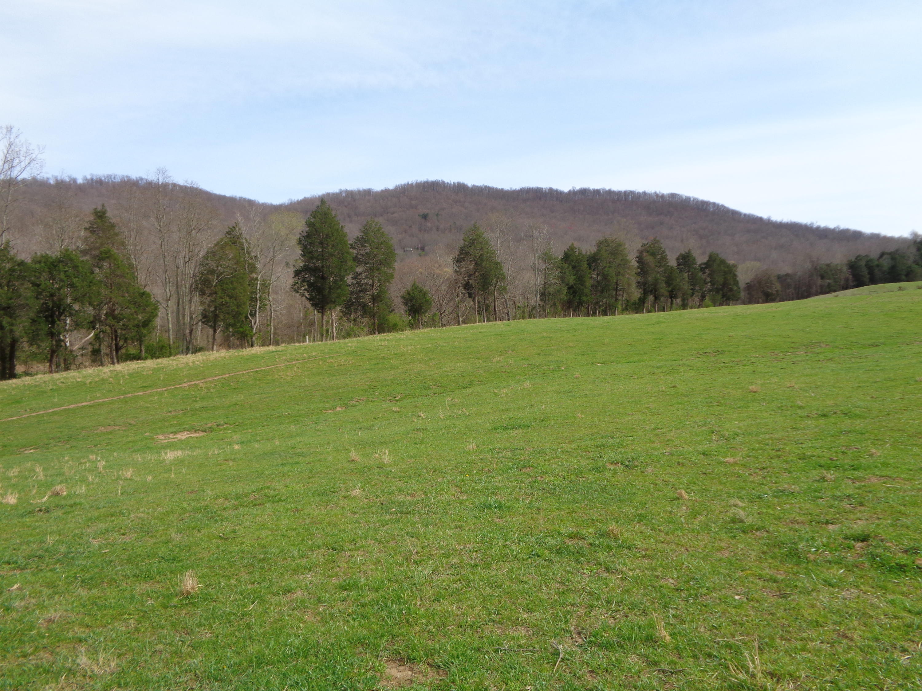 Manson Rd Road Jamestown, TN 38556 - Photo 11 of 24 Cooper 51 acres at manson 019