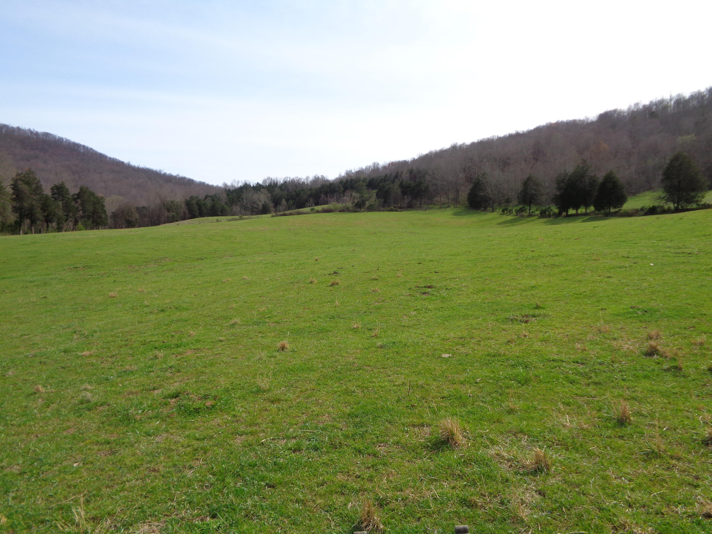 Manson Rd Road Jamestown, TN 38556 - Photo 13 of 24 Cooper 51 acres at manson 017