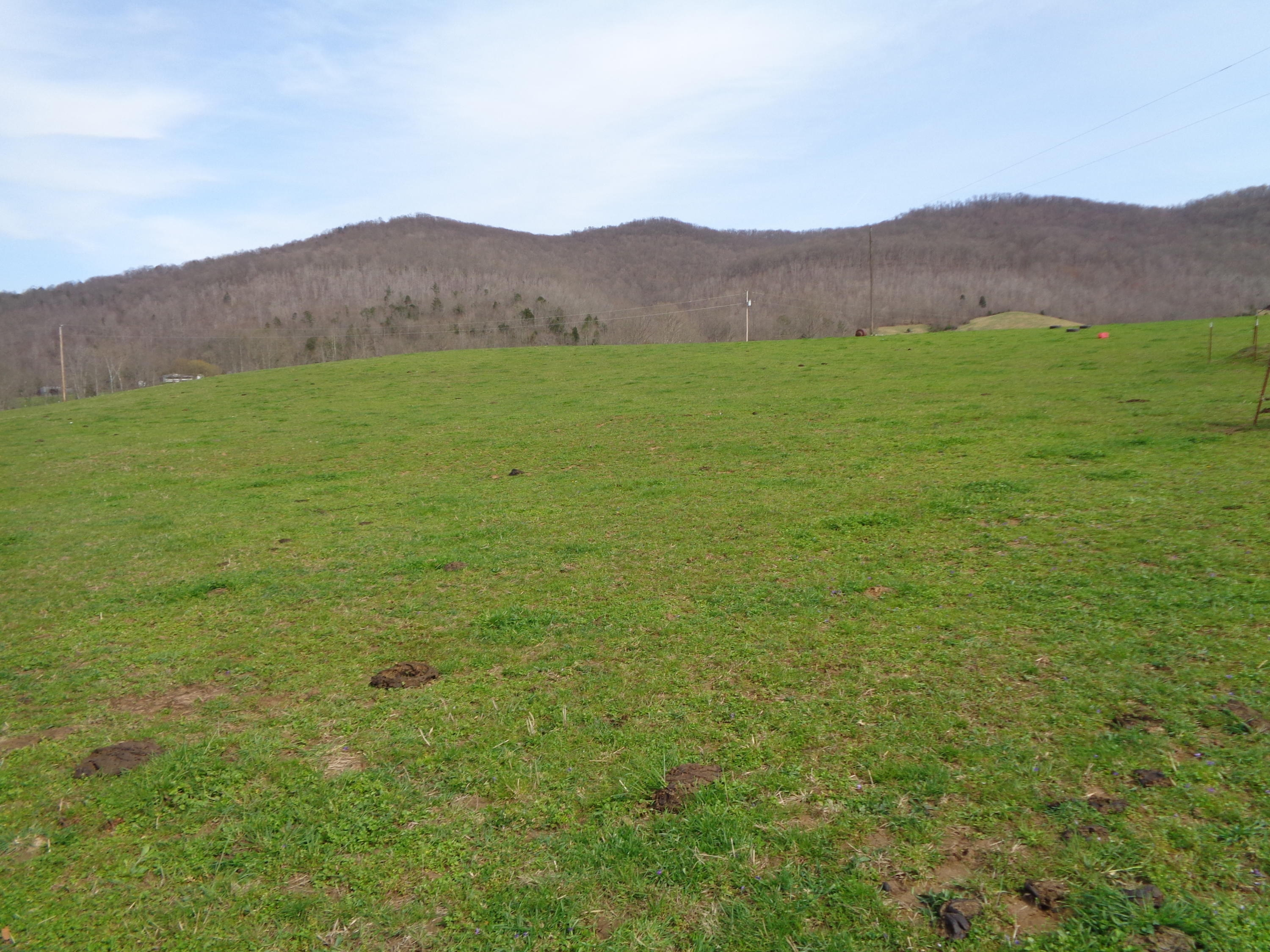 Manson Rd Road Jamestown, TN 38556 - Photo 16 of 24 Cooper 51 acres at manson 014
