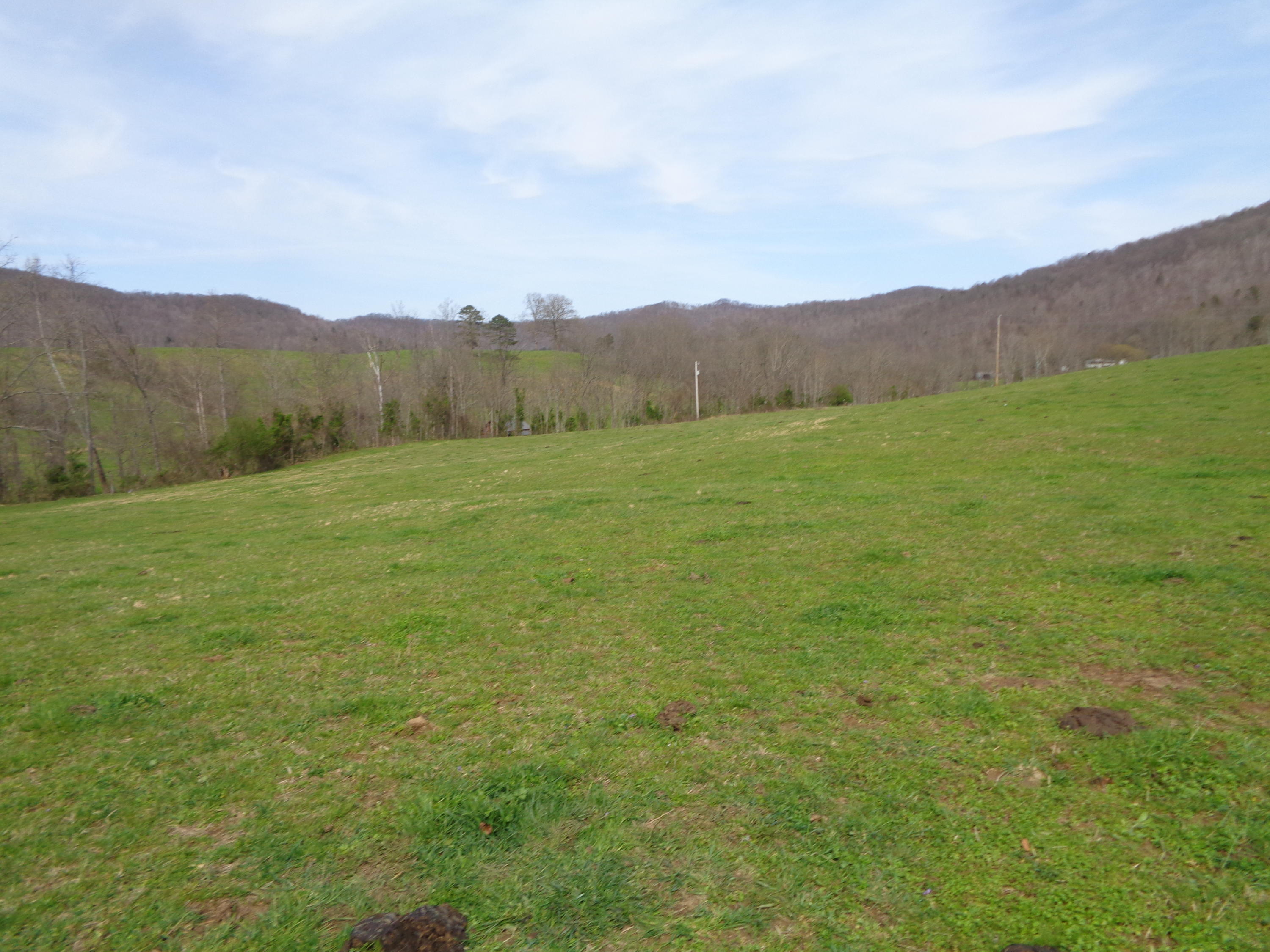 Manson Rd Road Jamestown, TN 38556 - Photo 17 of 24 Cooper 51 acres at manson 013