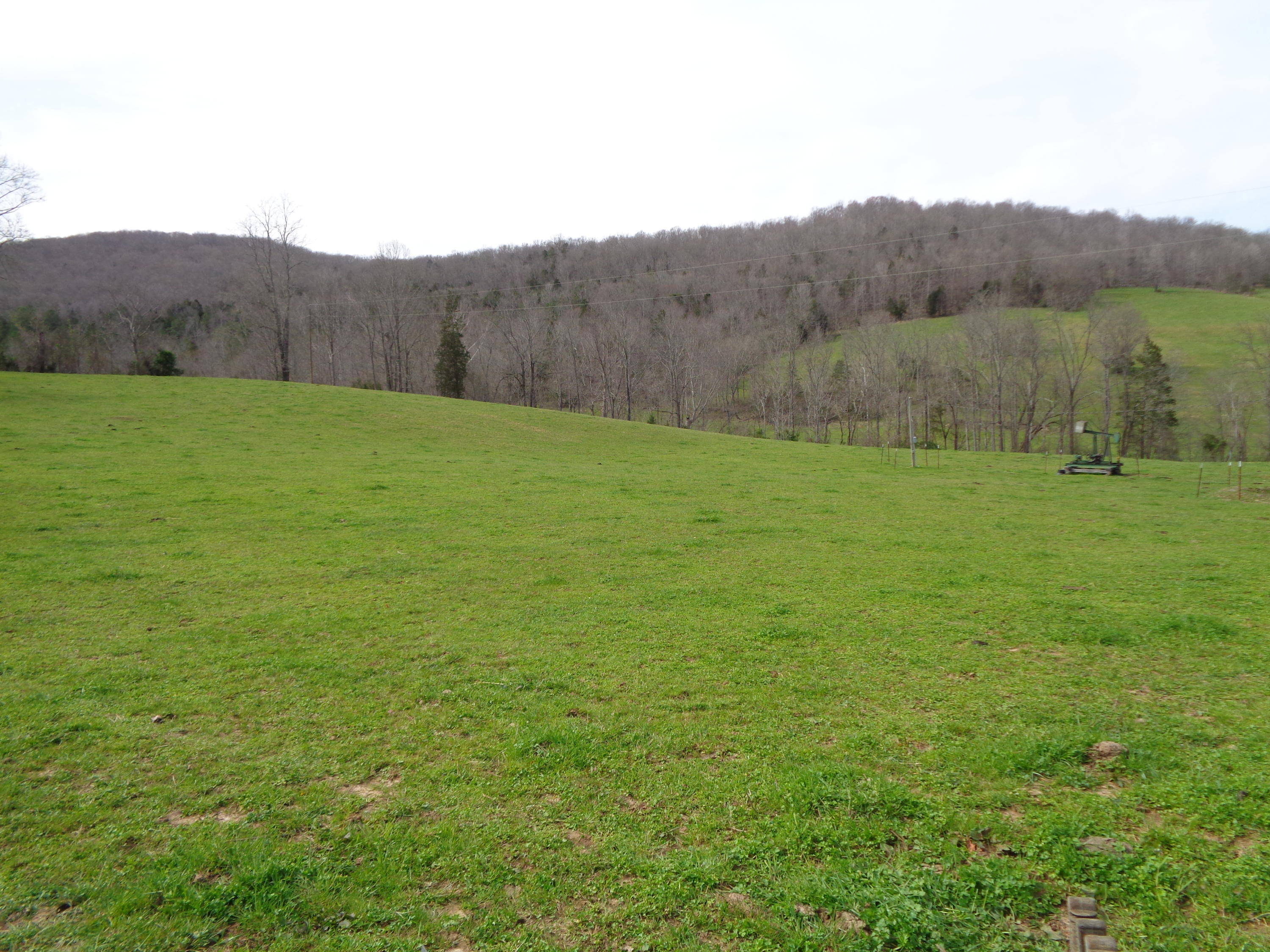Manson Rd Road Jamestown, TN 38556 - Photo 21 of 24 Cooper 51 acres at manson 009