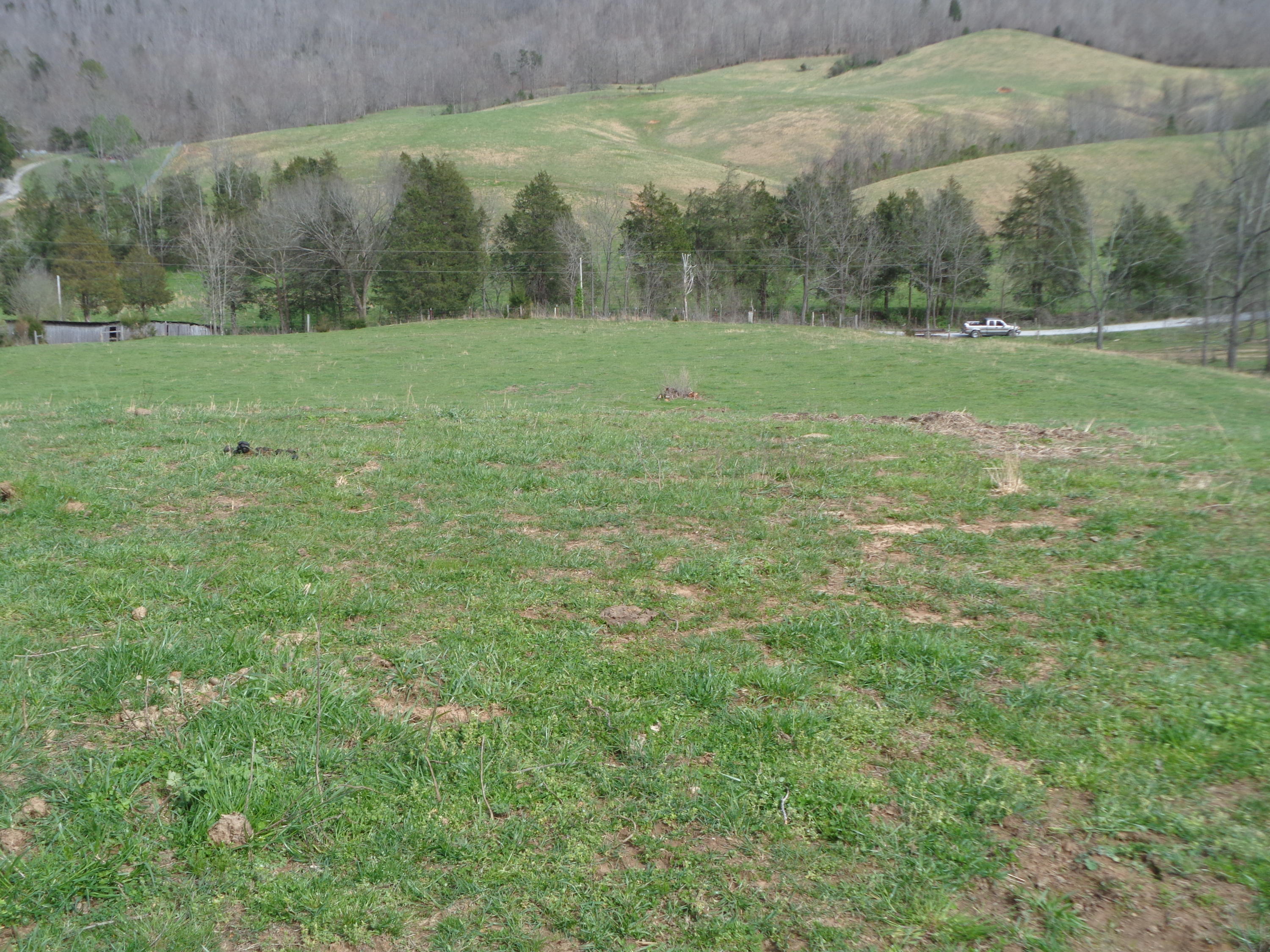 Manson Rd Road Jamestown, TN 38556 - Photo 24 of 24 Cooper 51 acres at manson 006