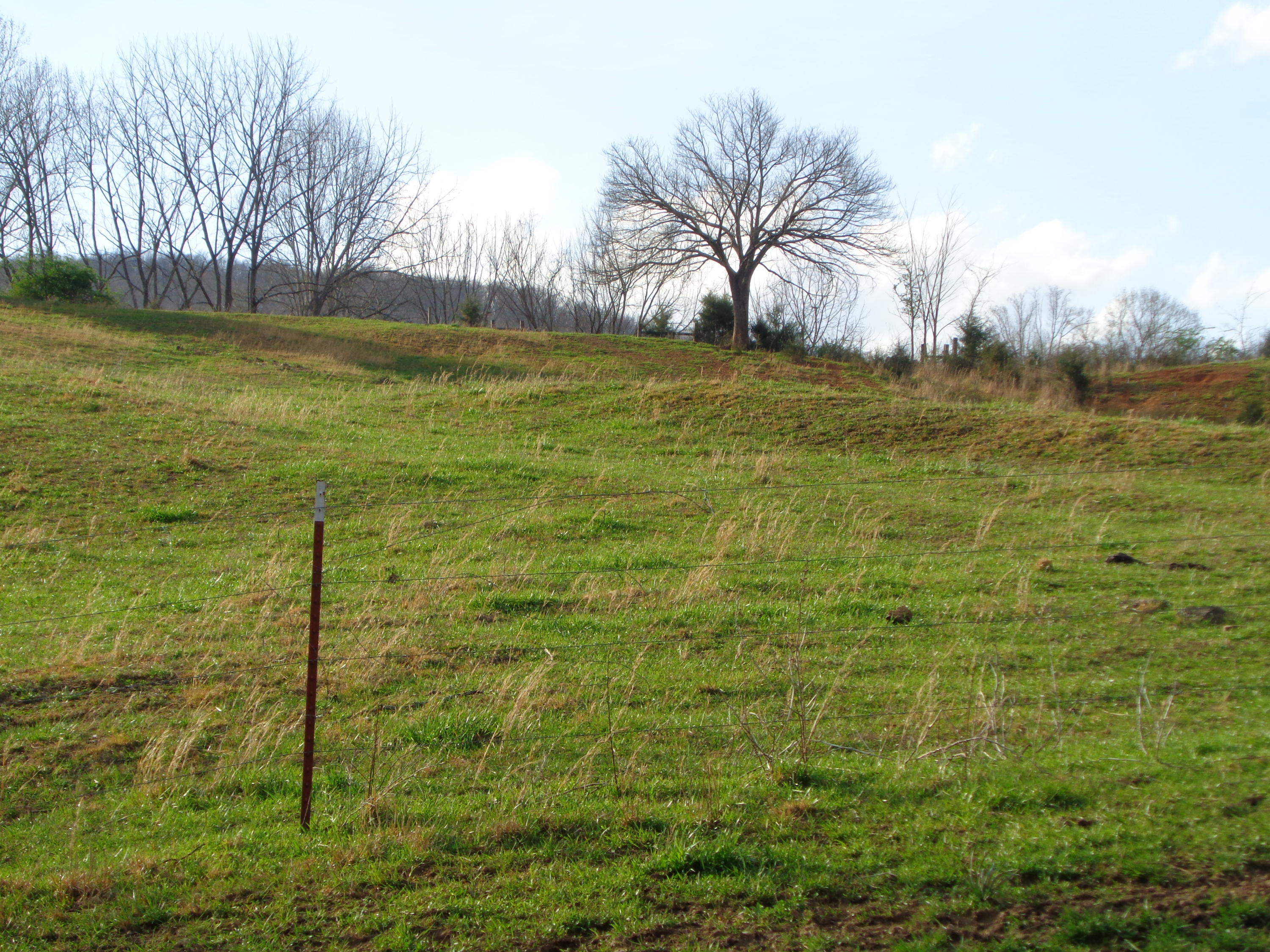 Manson Rd Road Jamestown, TN 38556 - Photo 4 of 24 Cooper 51 Acres Farm 007