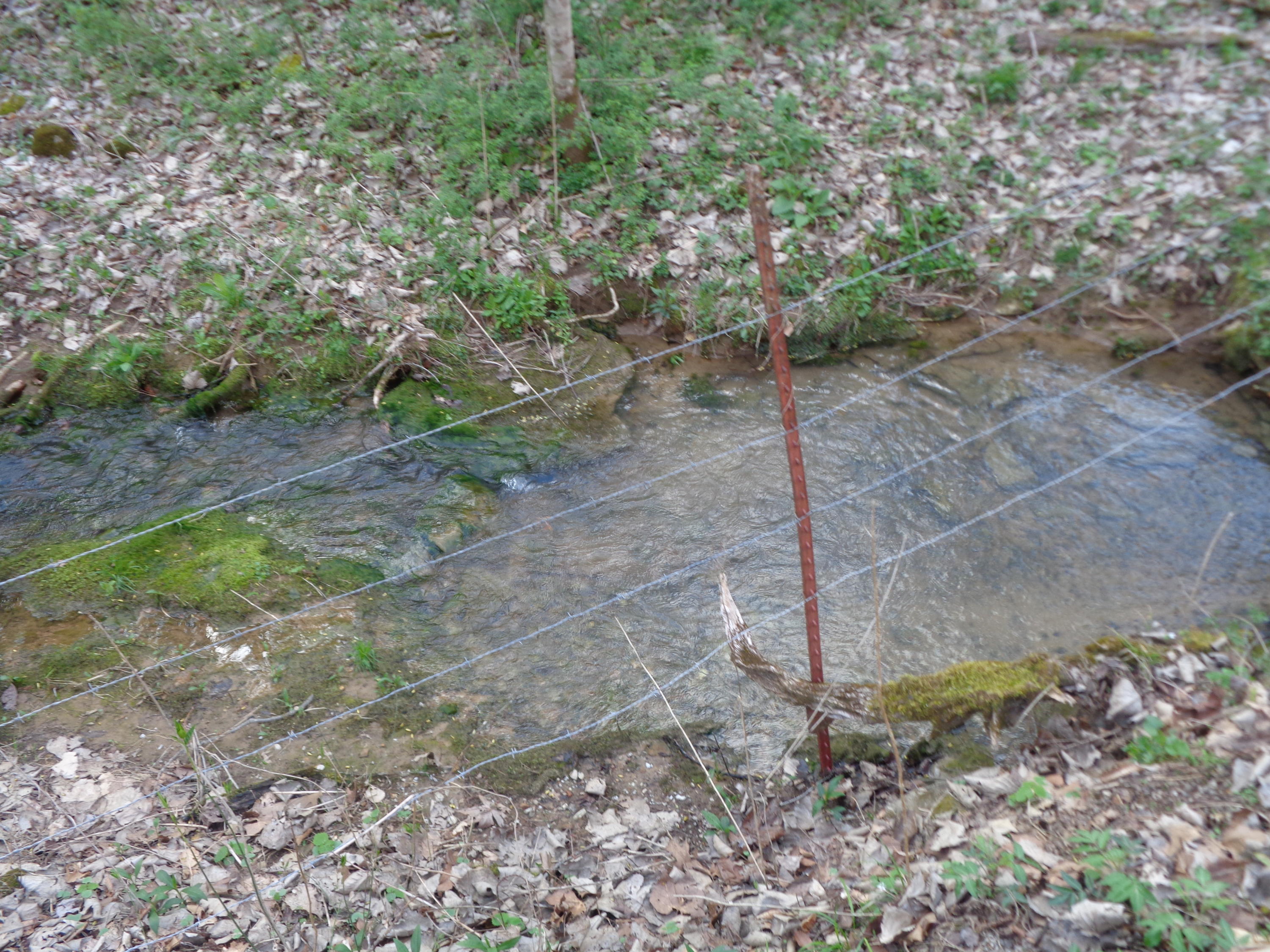 Manson Rd Road Jamestown, TN 38556 - Photo 5 of 24 Cooper 51 Acres Farm 006