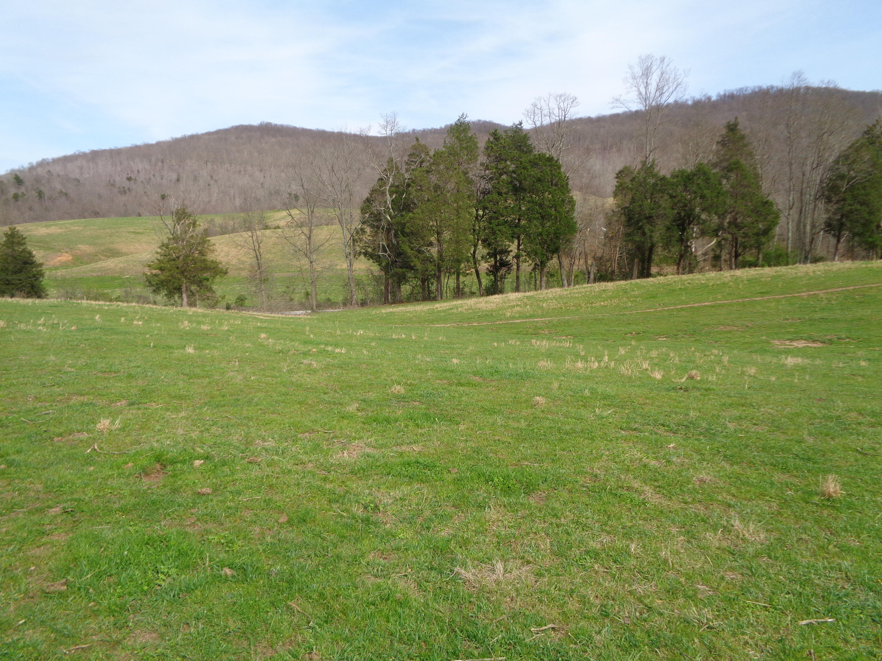 Manson Rd Road Jamestown, TN 38556 - Photo 10 of 24 Cooper 51 acres at manson 020