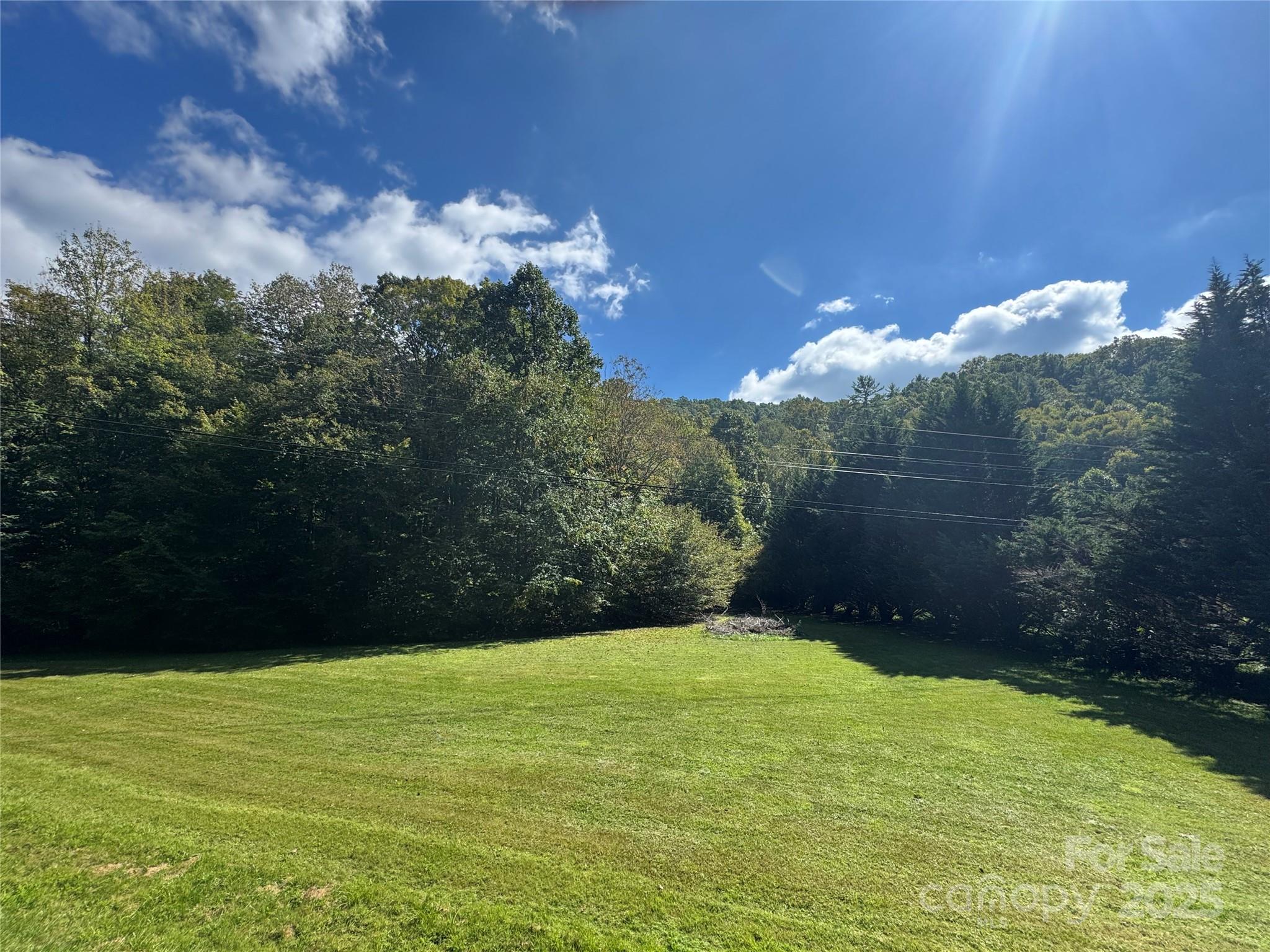 0 Puncheon Fork Road Mars Hill, NC 28754 - Photo 3 of 13