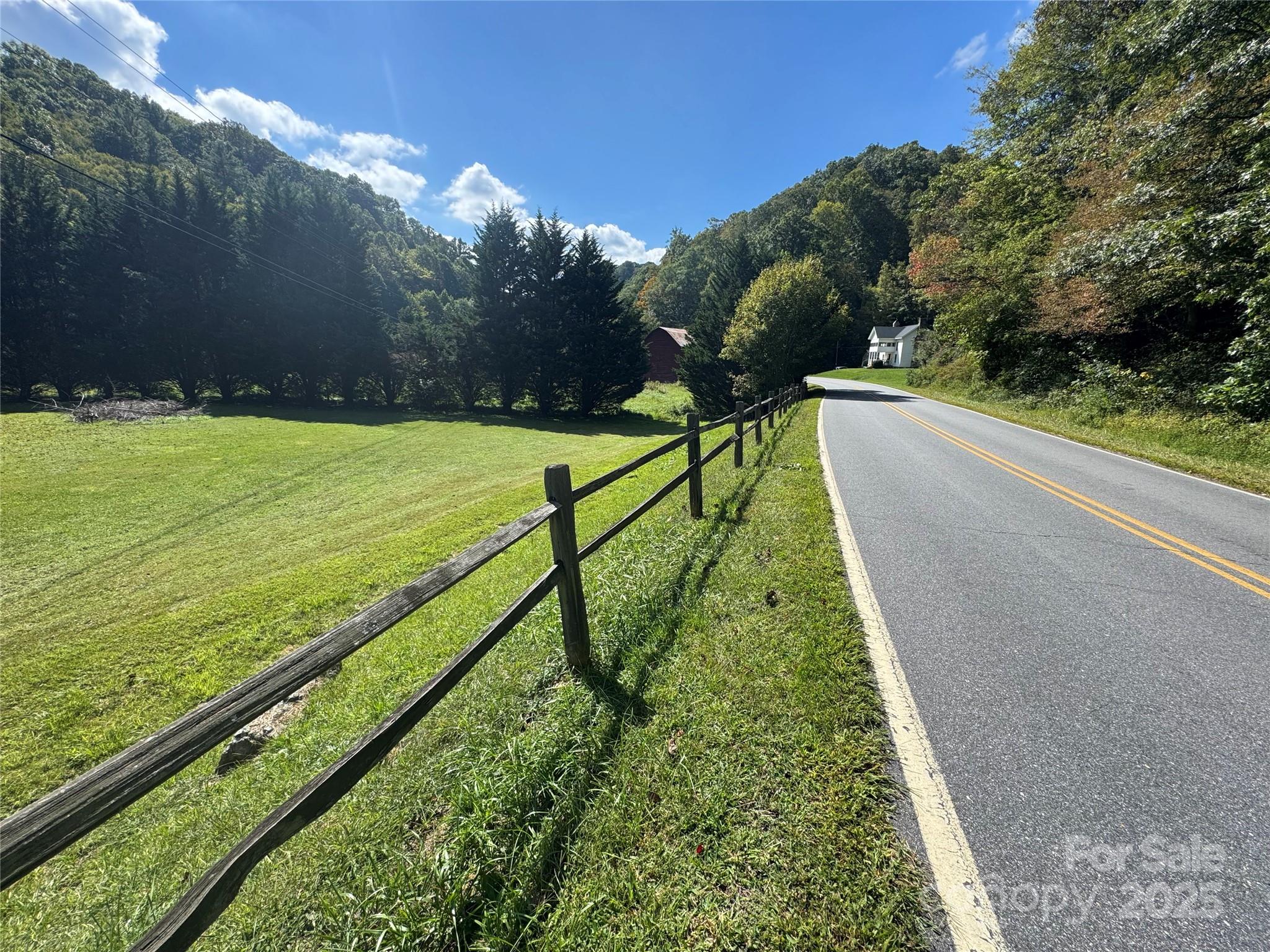 0 Puncheon Fork Road Mars Hill, NC 28754 - Photo 4 of 13