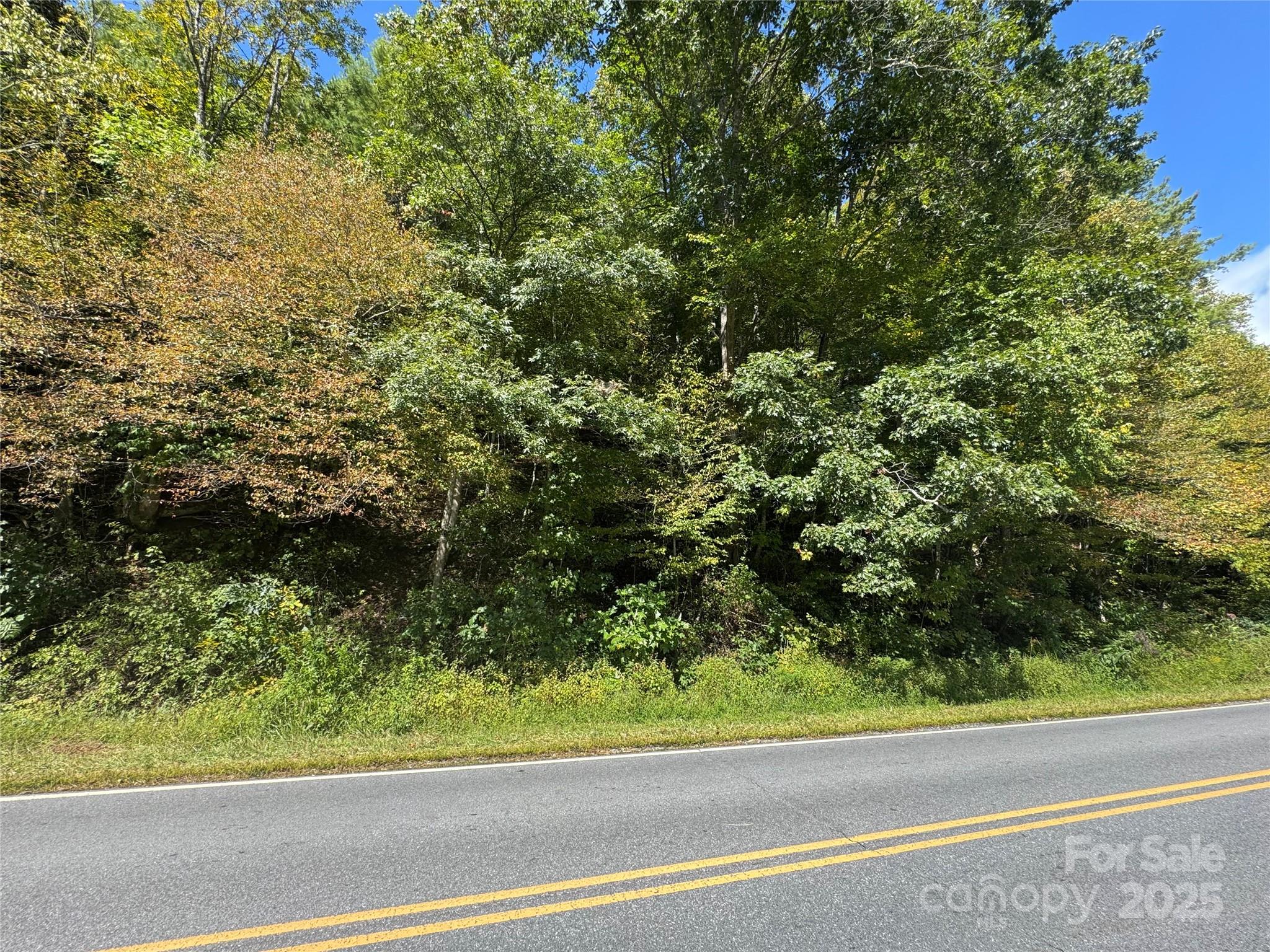 0 Puncheon Fork Road Mars Hill, NC 28754 - Photo 6 of 13