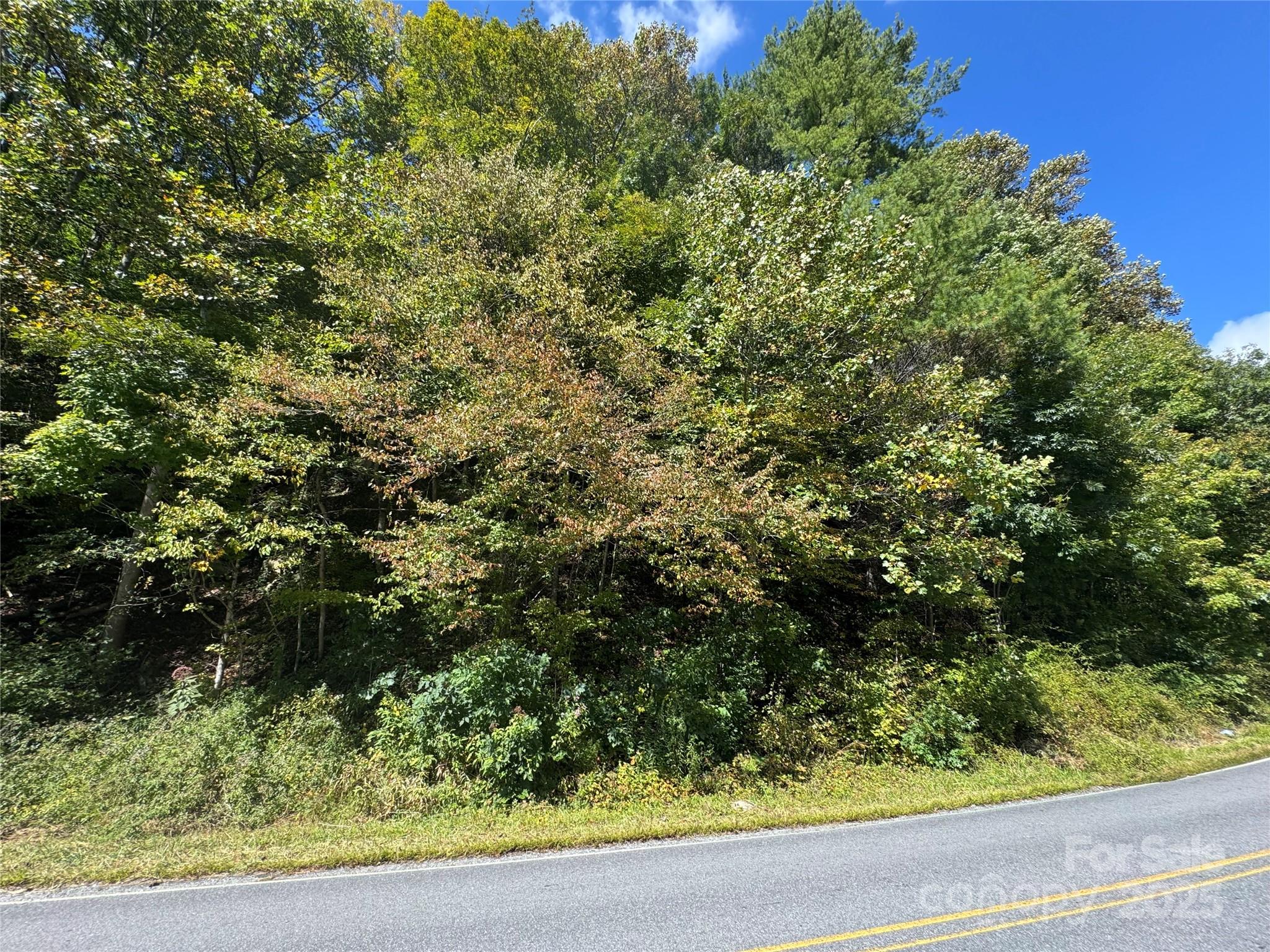 0 Puncheon Fork Road Mars Hill, NC 28754 - Photo 8 of 13