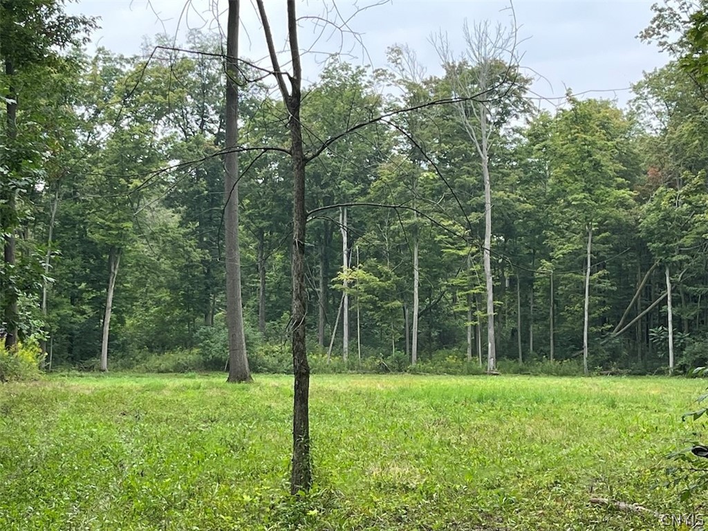 East Lee Road Albion, NY 14411 - Photo 14 of 20 Gallery Image 14