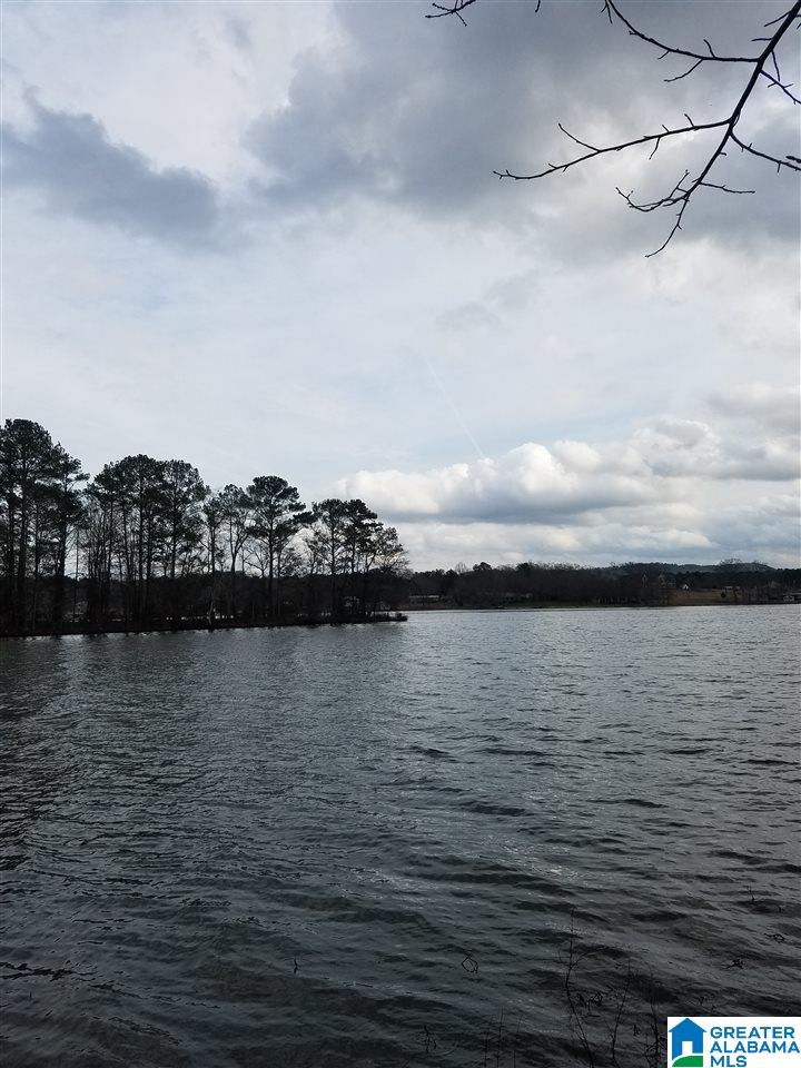 157 Summers Bend Sylacauga, AL 35151 - Photo 1 of 2
