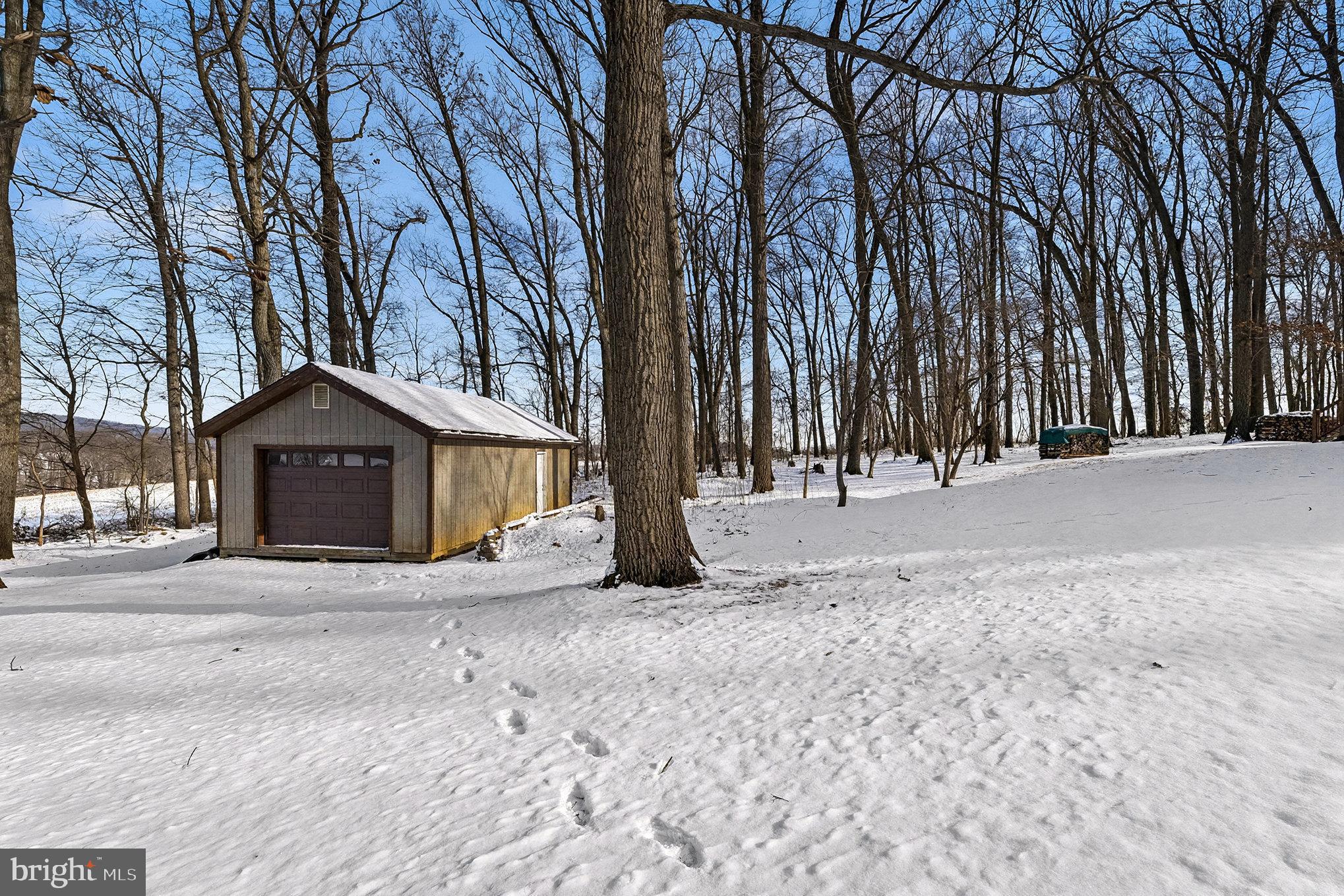 4007 Street Road Street, MD 21154 - Photo 10 of 42 16 x 32 Workshop with electric