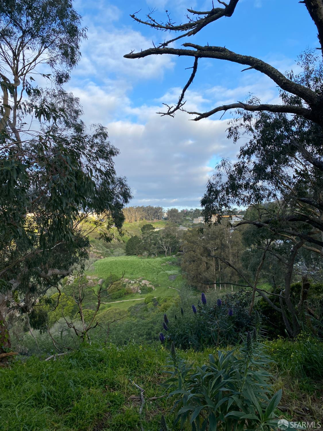 215 Red Rock Way, Unit 207J San Francisco, CA 94131 - Photo 29 of 30