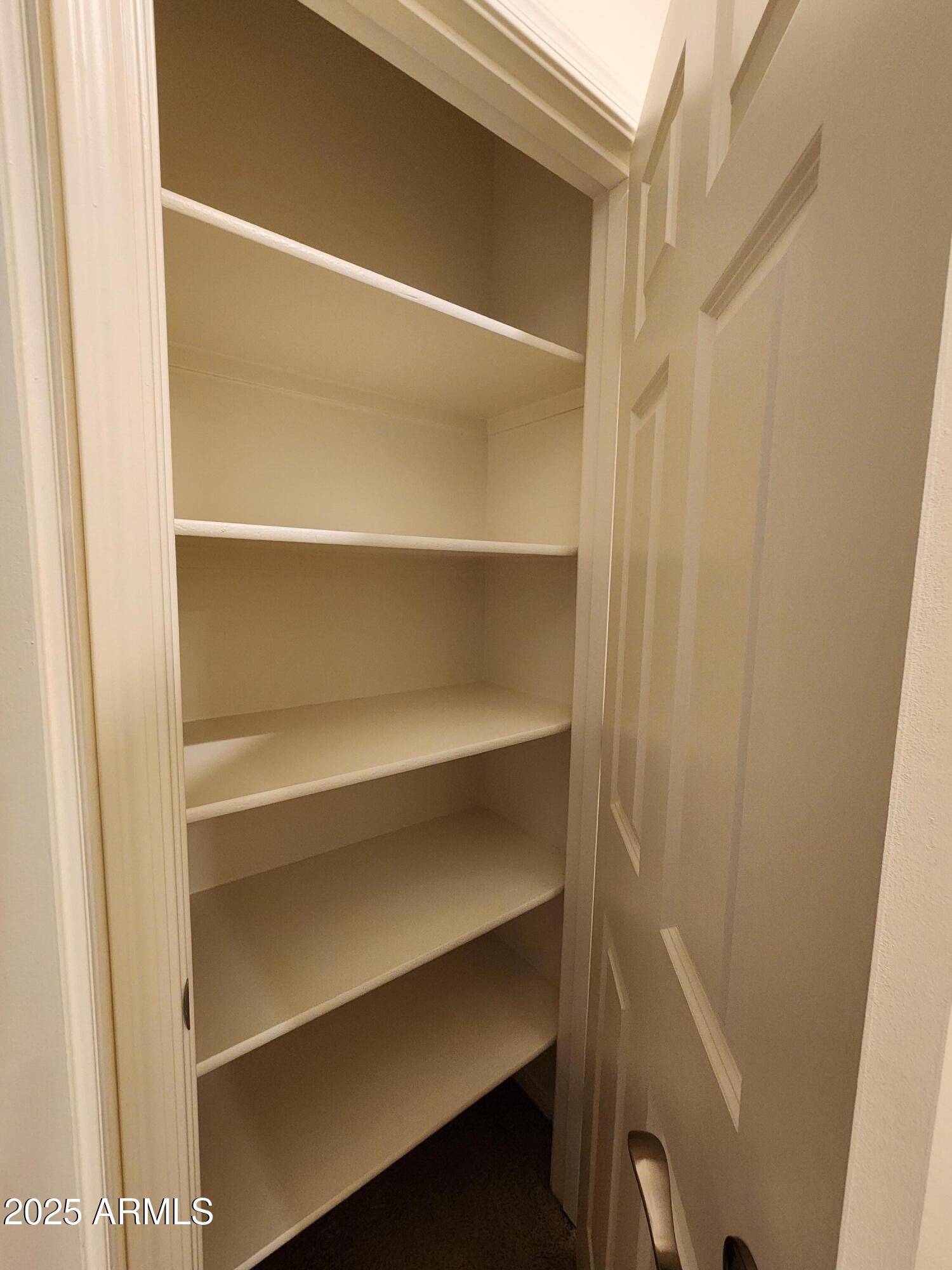 14870 West Encanto Boulevard, Unit 1113 Goodyear, AZ 85395 - Photo 22 of 33 a view of walk in closet with empty racks