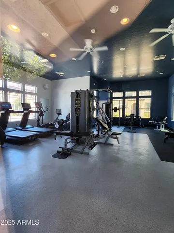 a swimming pool with plants