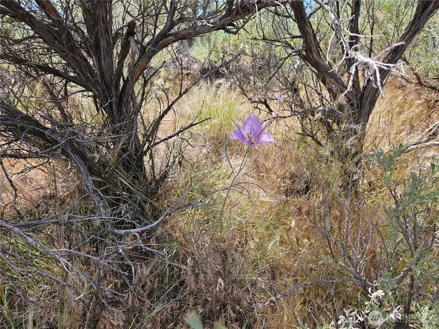 $7,000 | 1 West Coyote Trail, Ephrata, WA 98823