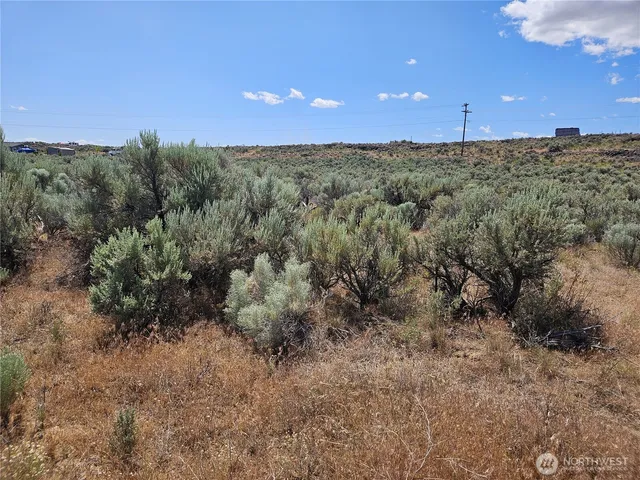 a view of backyard with green space