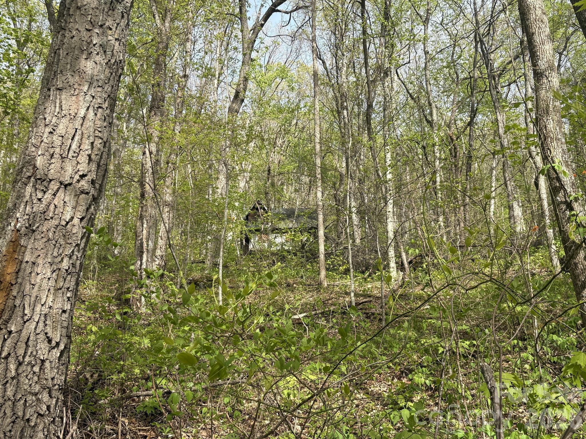 999999 Harwood Road Barnardsville, NC 28709 - Photo 13 of 26