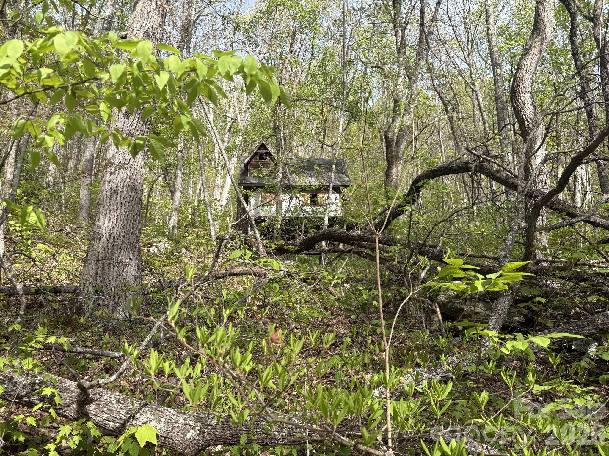 999999 Harwood Road Barnardsville, NC 28709 - Photo 14 of 26