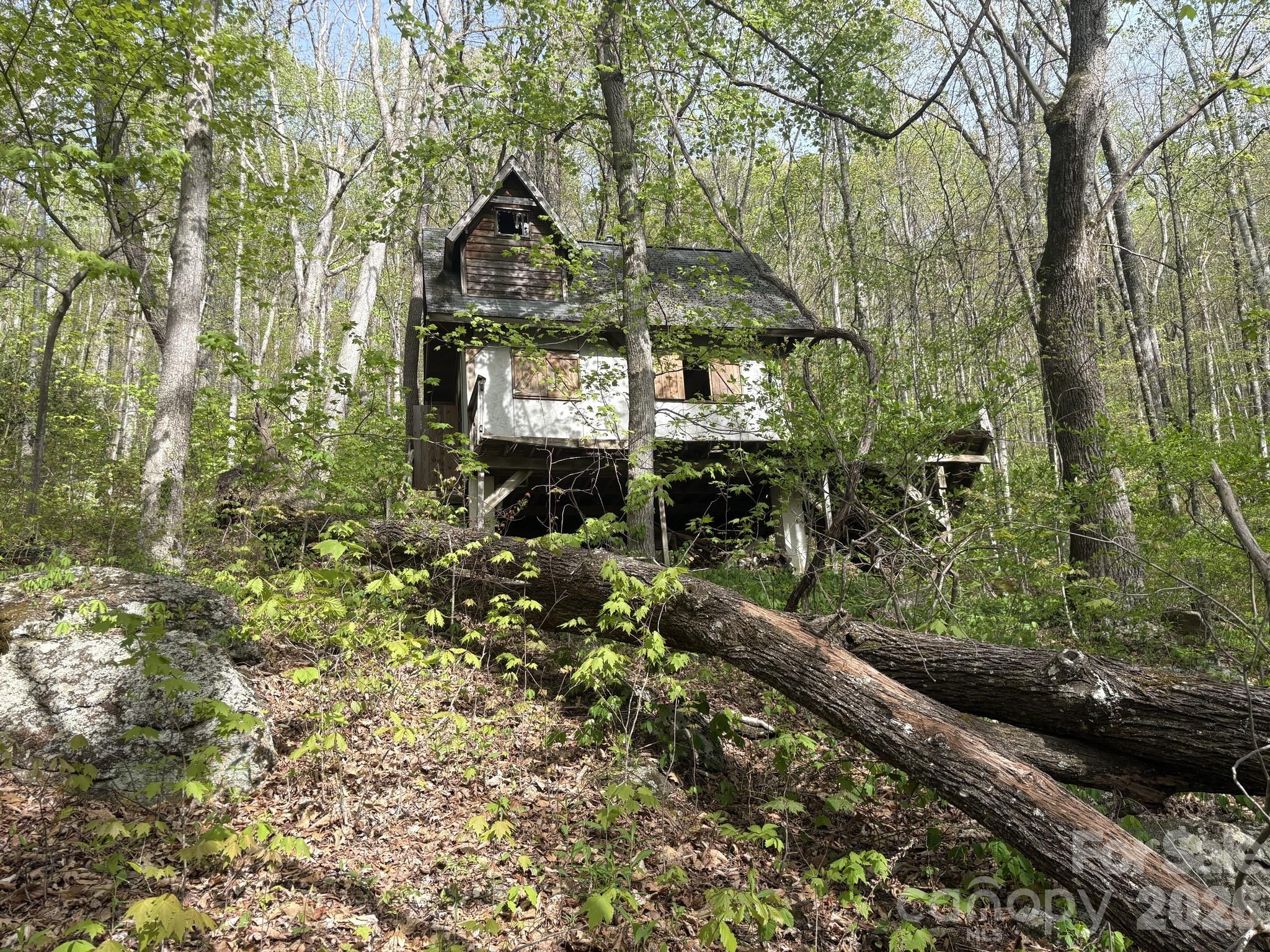 999999 Harwood Road Barnardsville, NC 28709 - Photo 15 of 26