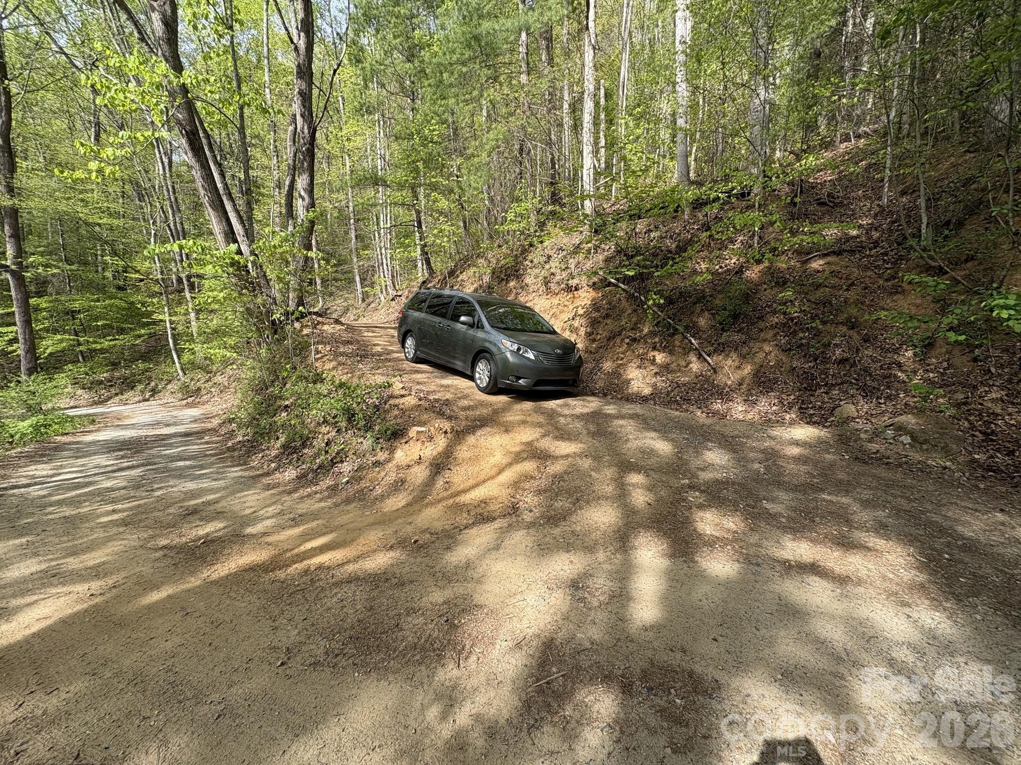 999999 Harwood Road Barnardsville, NC 28709 - Photo 2 of 26