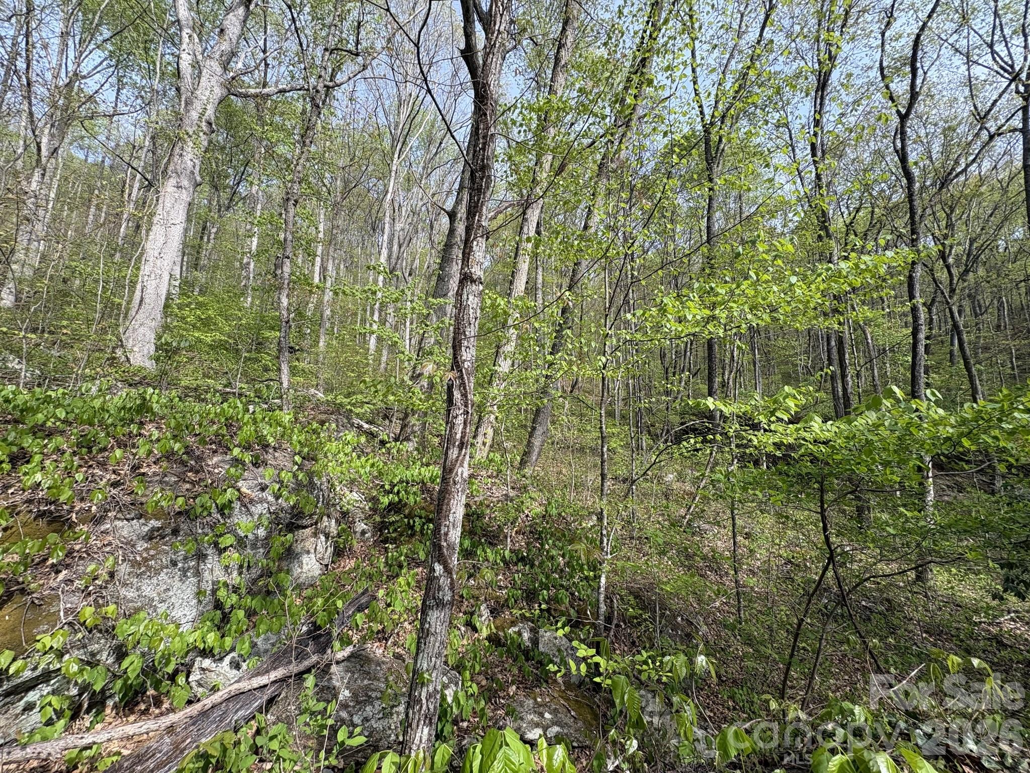 999999 Harwood Road Barnardsville, NC 28709 - Photo 25 of 26