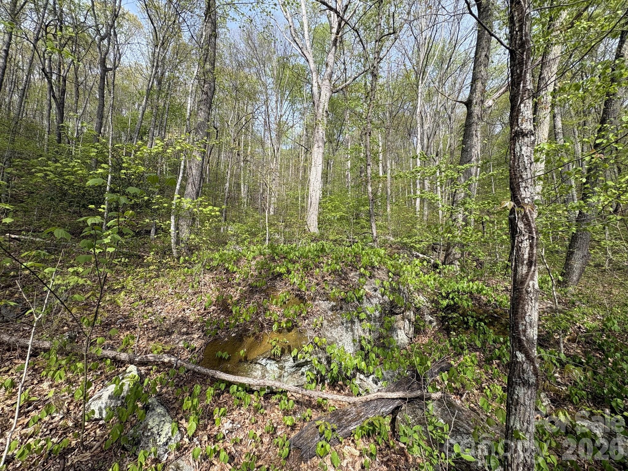 999999 Harwood Road Barnardsville, NC 28709 - Photo 26 of 26