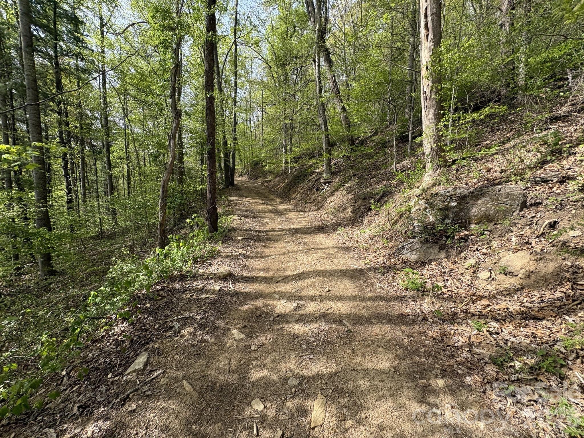 999999 Harwood Road Barnardsville, NC 28709 - Photo 4 of 26