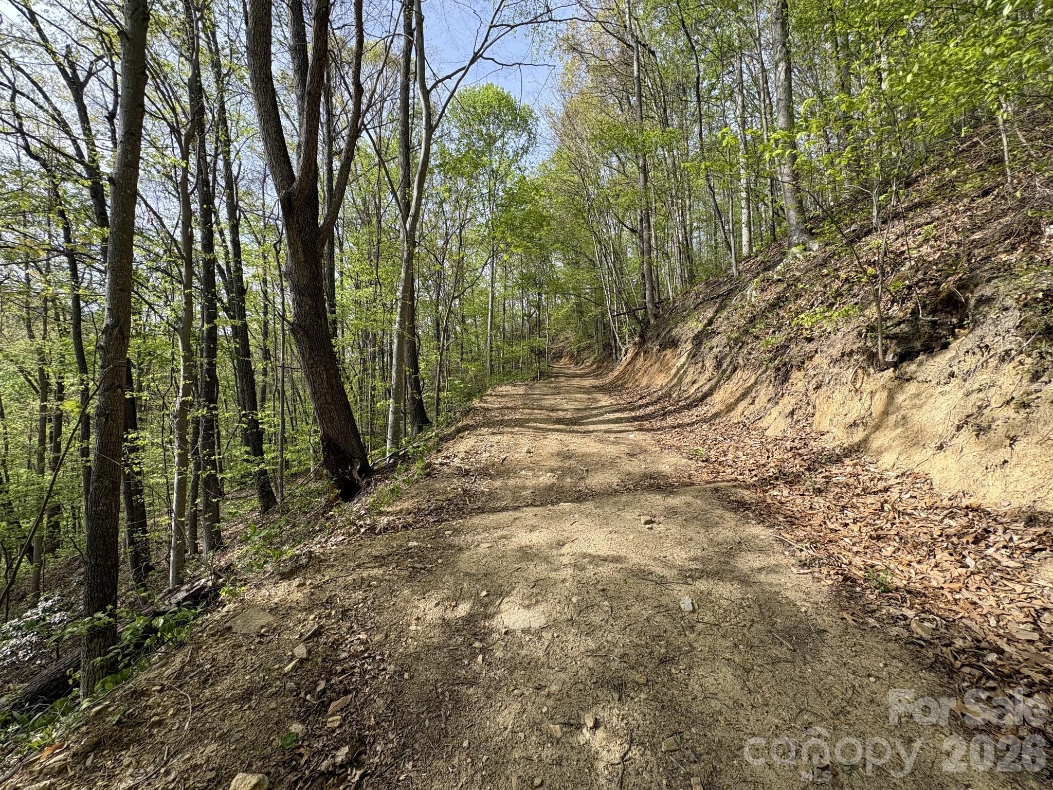 999999 Harwood Road Barnardsville, NC 28709 - Photo 5 of 26