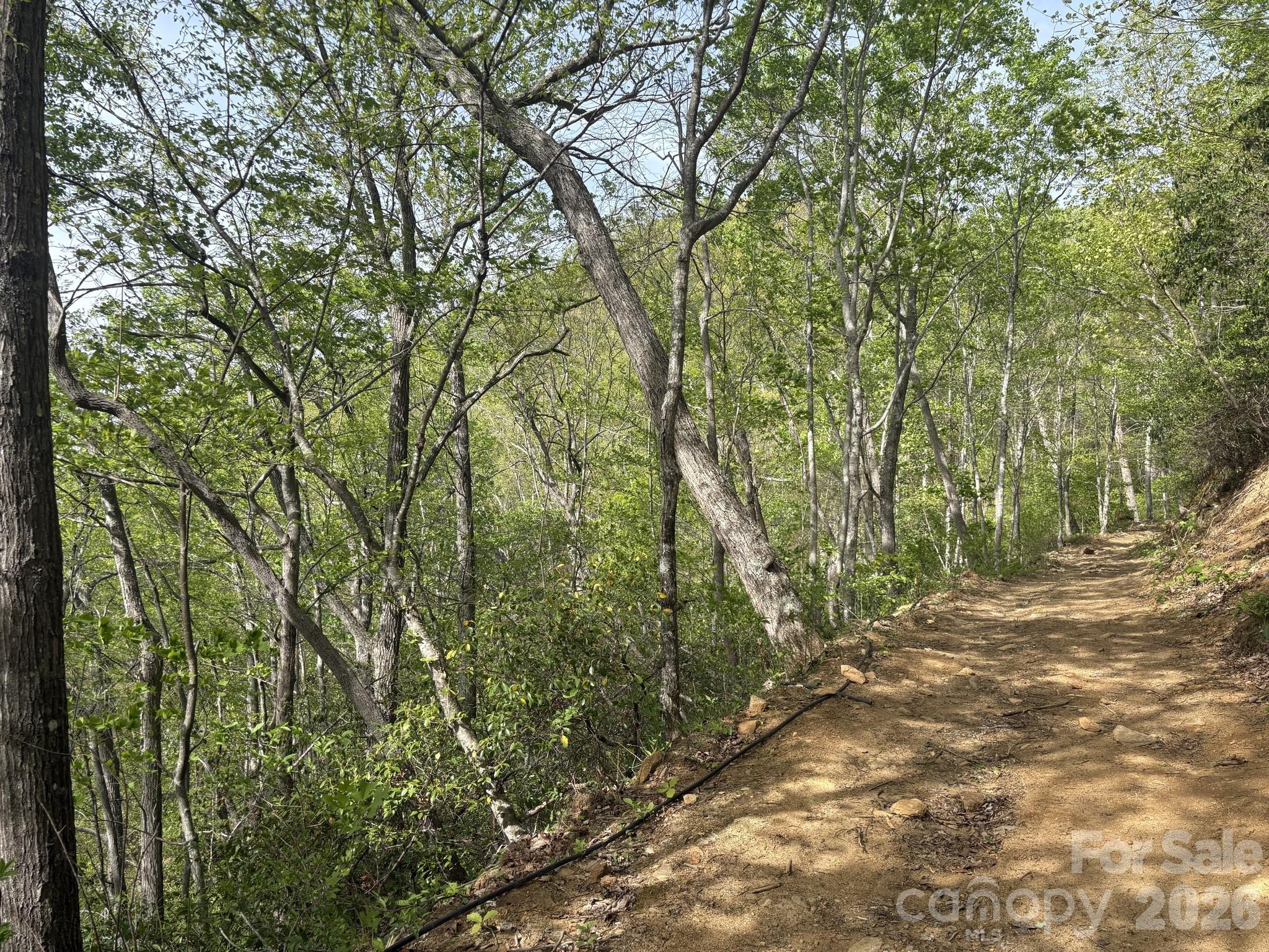 999999 Harwood Road Barnardsville, NC 28709 - Photo 6 of 26