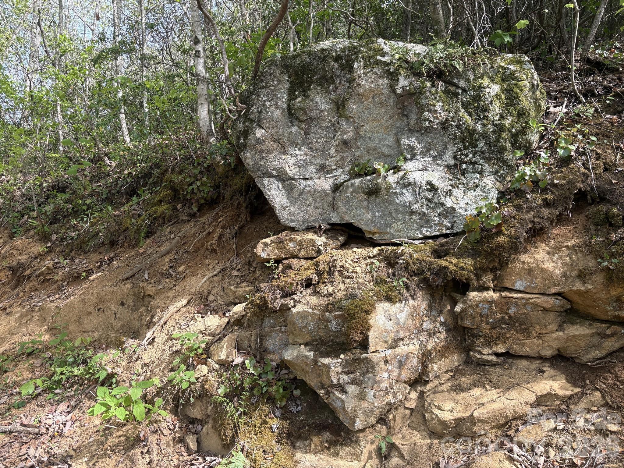 999999 Harwood Road Barnardsville, NC 28709 - Photo 7 of 26