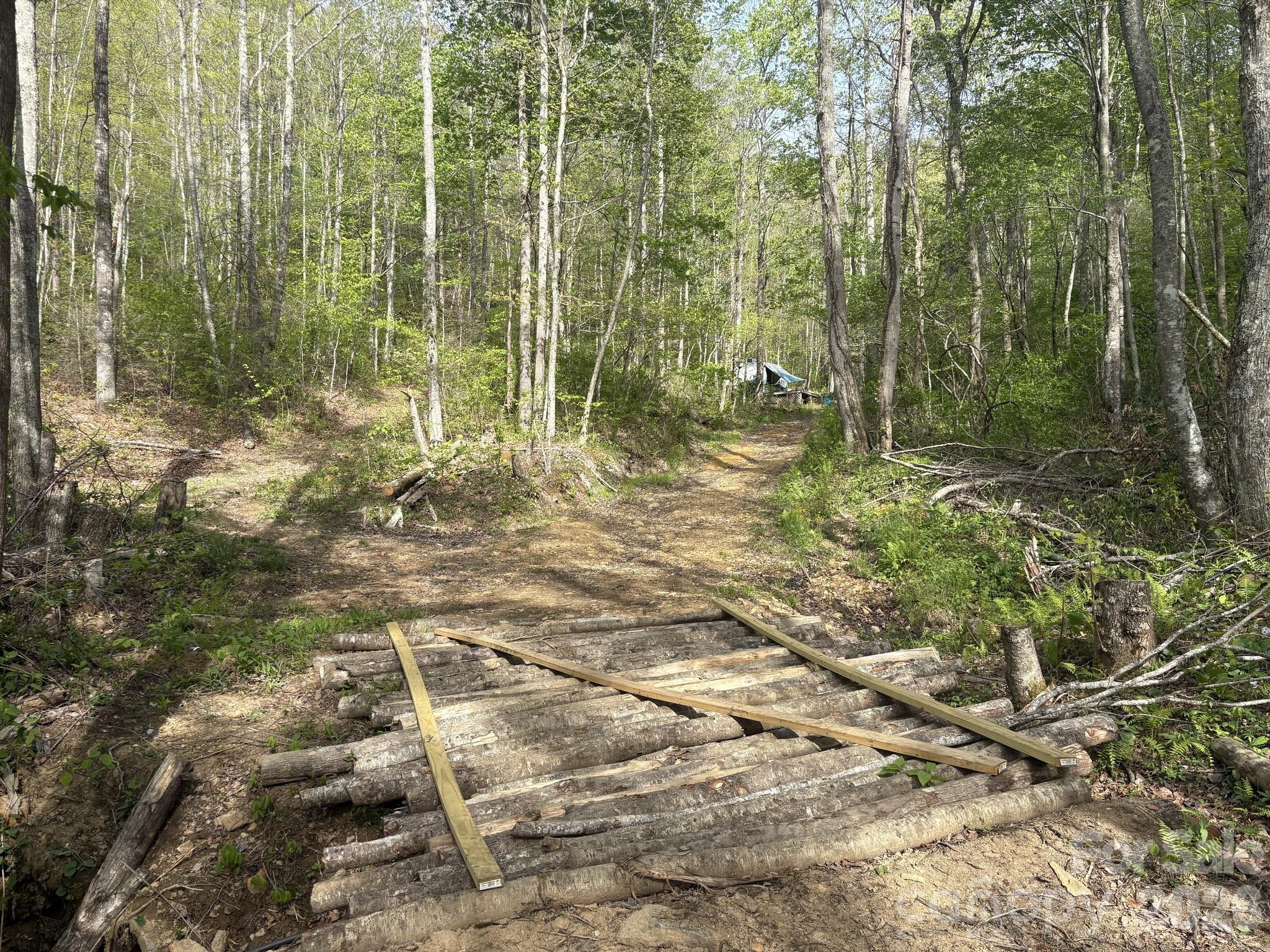 999999 Harwood Road Barnardsville, NC 28709 - Photo 8 of 26