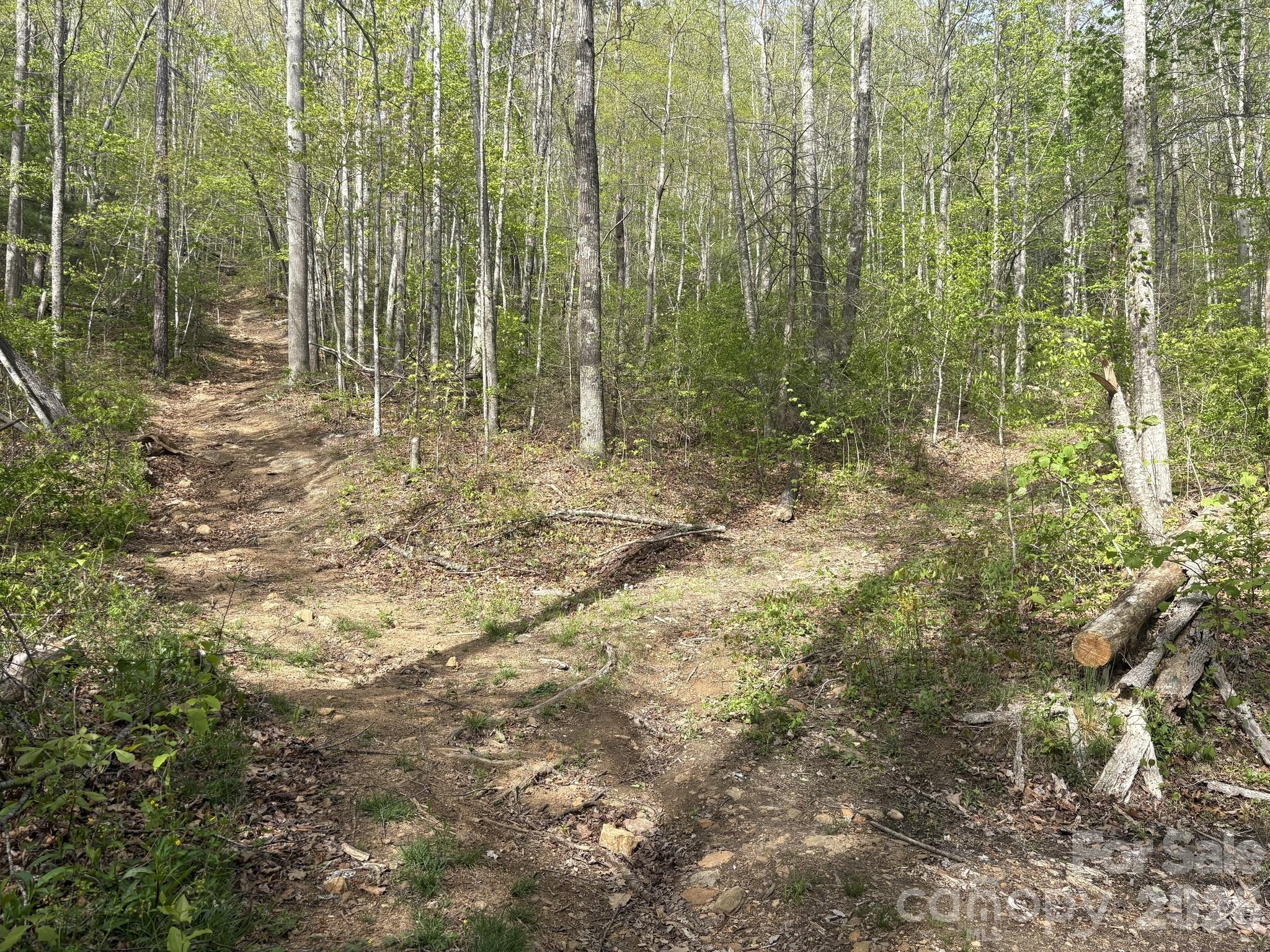 999999 Harwood Road Barnardsville, NC 28709 - Photo 10 of 26