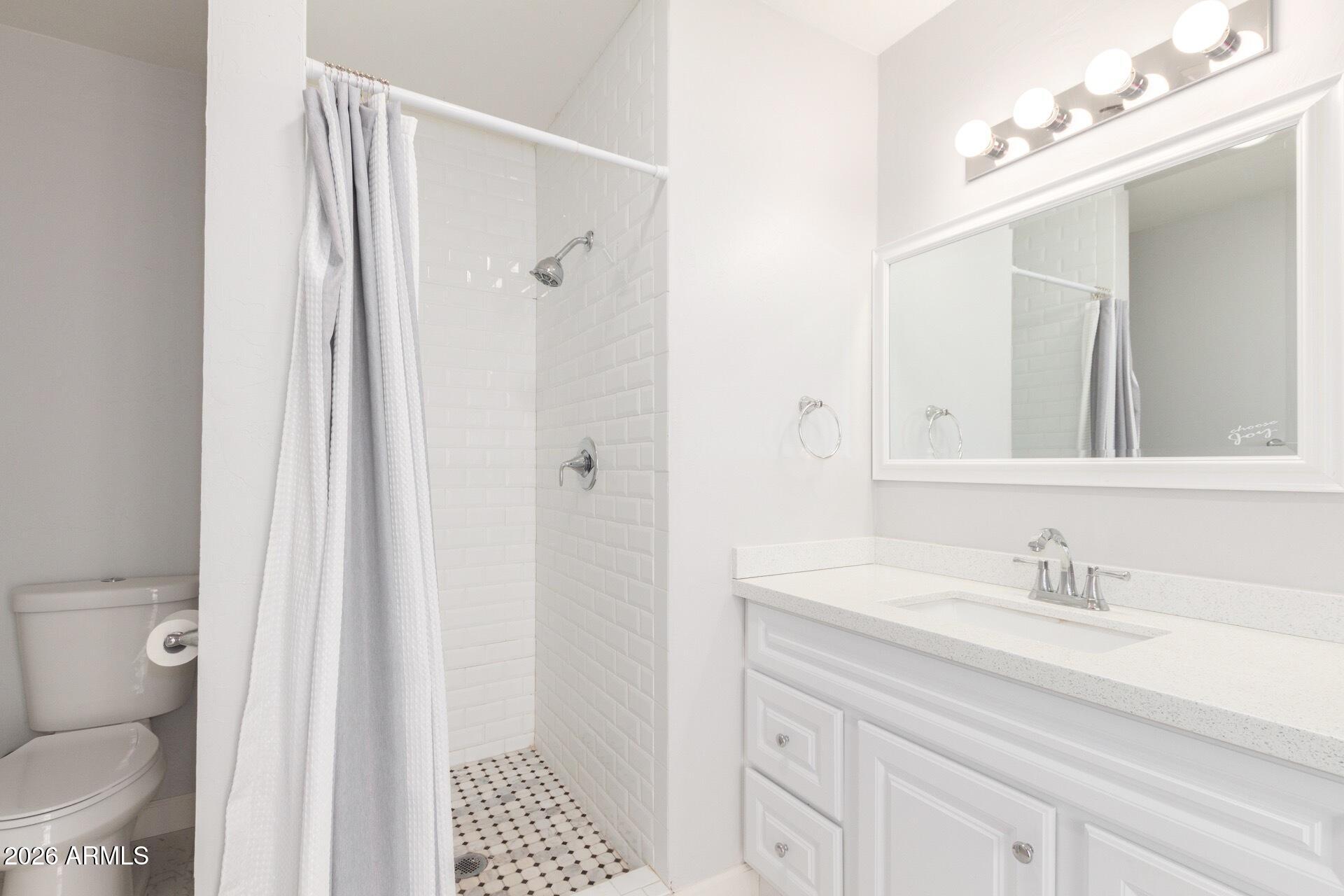 860 West McLellan Road Mesa, AZ 85201 - Photo 10 of 26 a bathroom with a sink a toilet a shower and a mirror