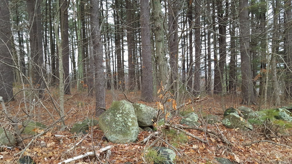 0 Fisherdick Road Ware, MA 01082 - Photo 3 of 6 Gallery Image 3