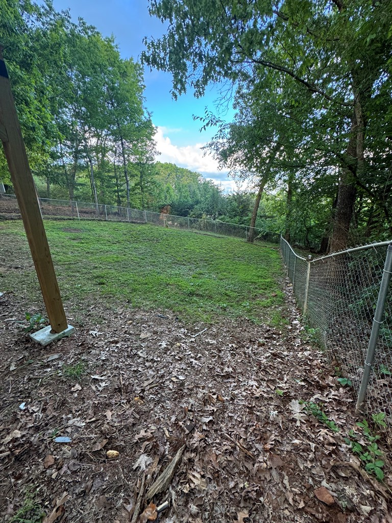 678 Lakeview Circle Morganton, GA 30560 - Photo 16 of 18