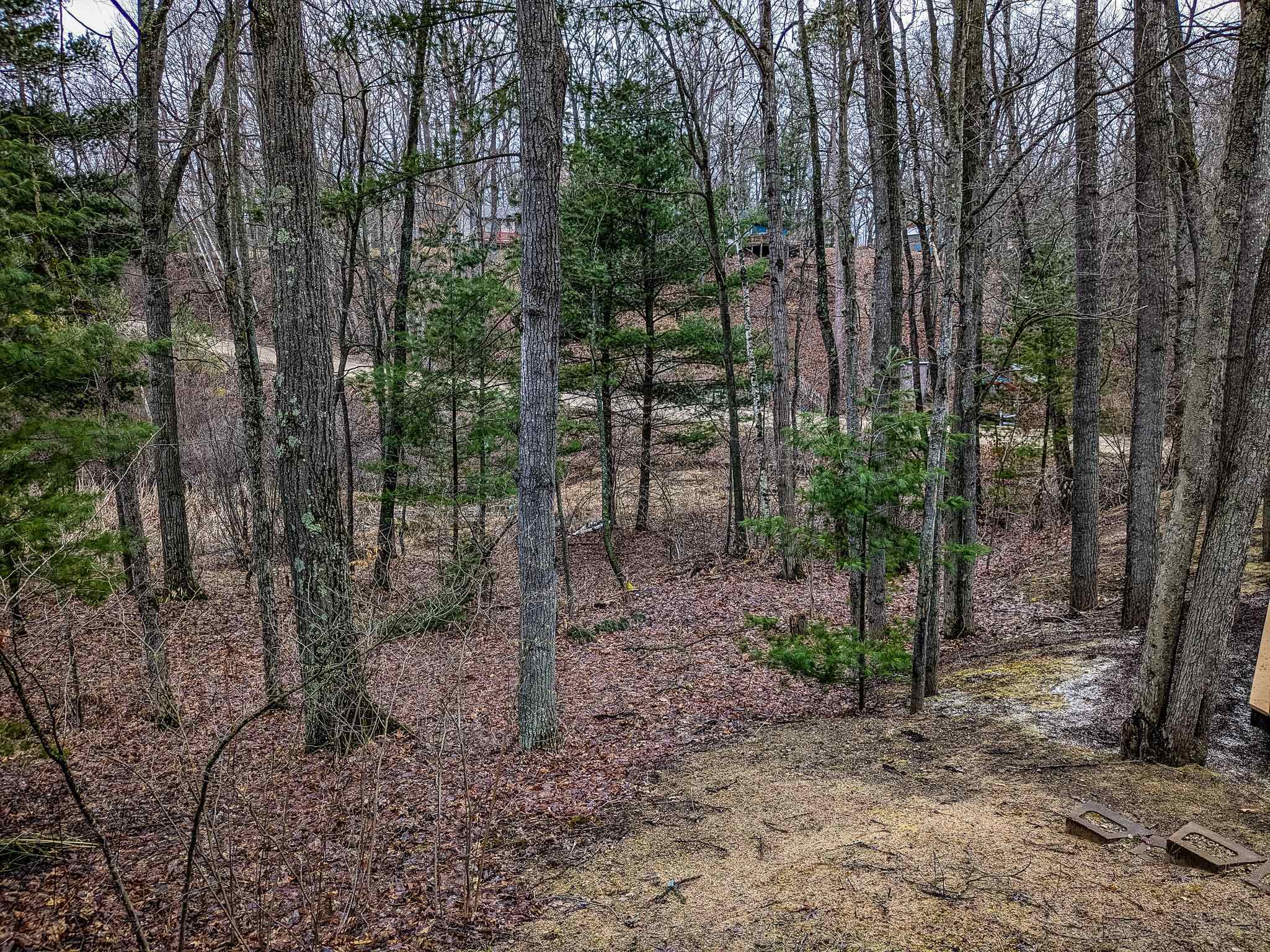 3600 Starr Road Harrison, MI 48625 - Photo 31 of 40