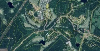 a close up of a plant in a garden