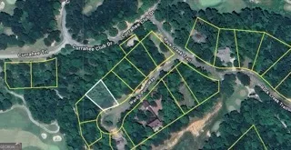 a backyard of a house with lots of green space and trees