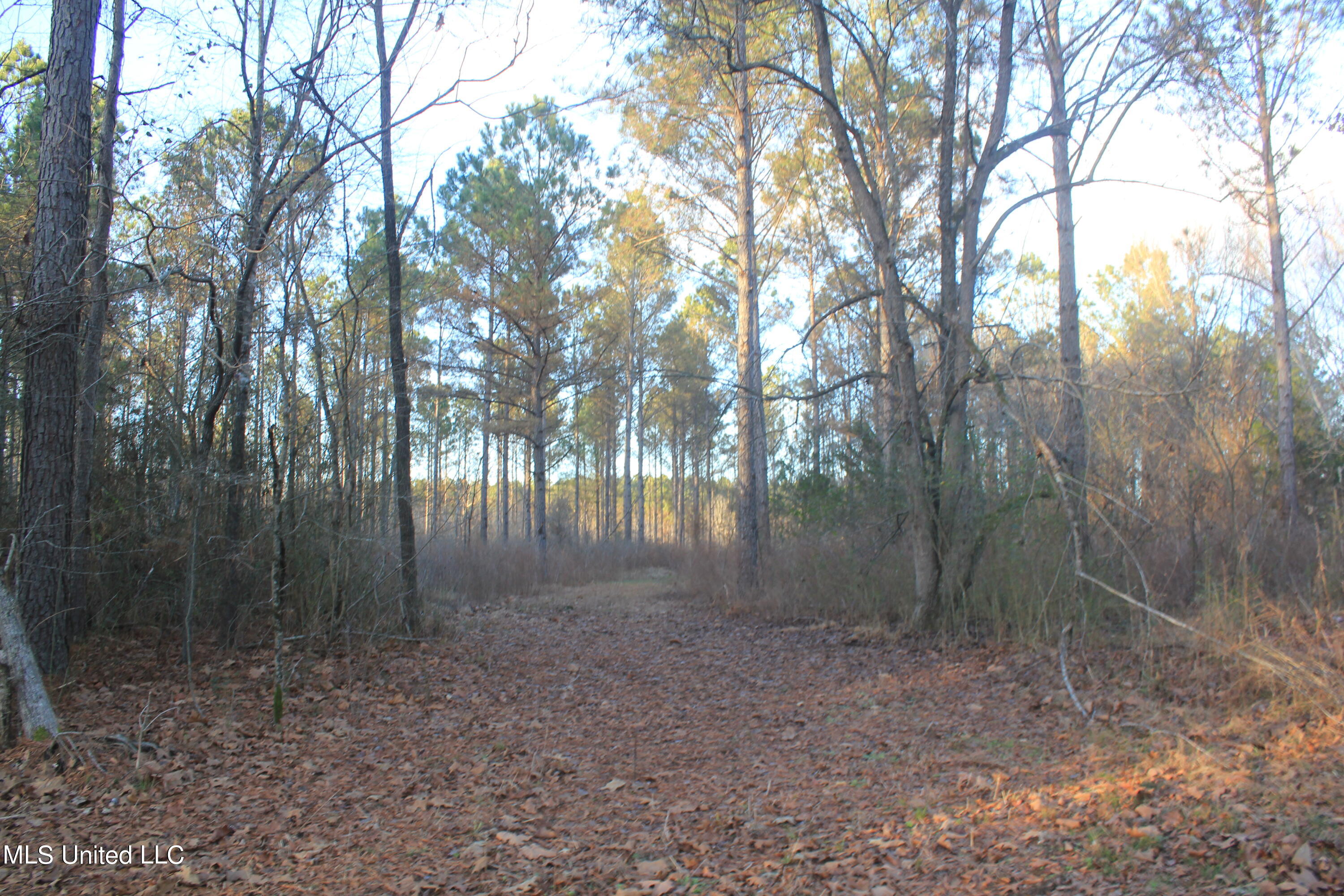 300 Liberty Road Ashland, MS 38603 - Photo 5 of 33 IMG_7841