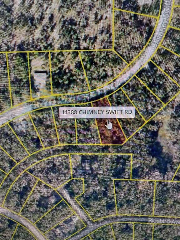 14388 Chimney Swift Road Weeki Wachee, FL 34614 - Photo 3 of 5