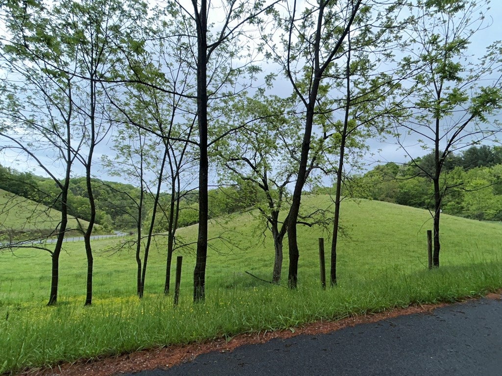 654 Spraker Road Crockett, VA 24323 - Photo 48 of 55 Gallery Image 48