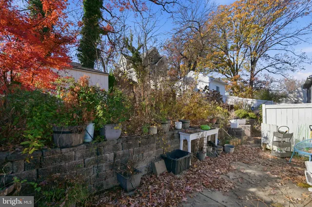 a view of a backyard with plants and trees