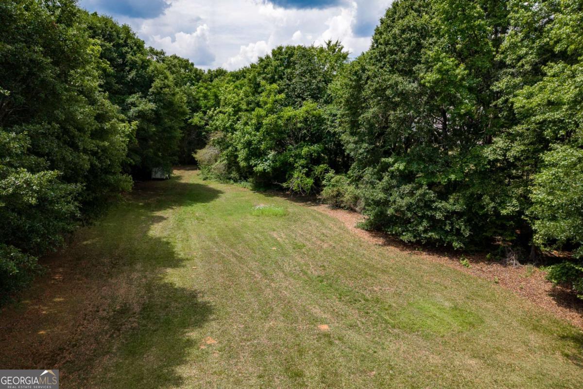 6.04-acres Old Bishop Road Bishop, GA 30621 - Photo 22 of 30 a view of a yard with plants and a bench