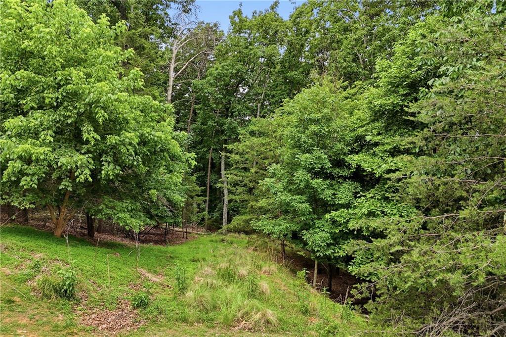 0 Owl Ridge Way Jasper, GA 30143 - Photo 19 of 22 a view of a yard with a tree